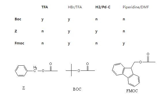 多肽合成（化學）的基本介紹