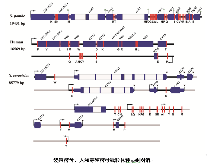 qqjie_tu_20180704090945.png