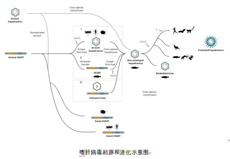 qqjie_tu_20180620134322.png