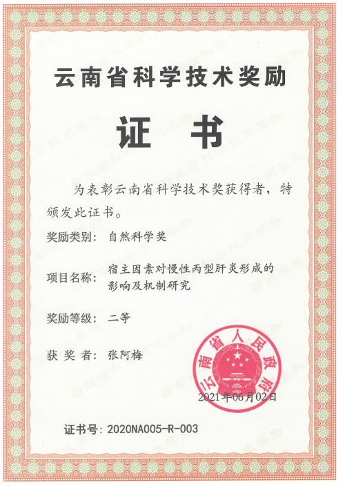 说明: 2020年云南省自然科学二等奖